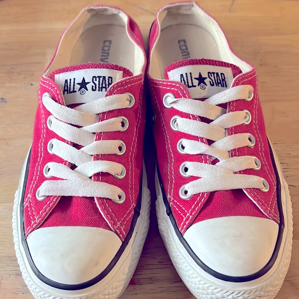 Converse Unisex-Adult All Stars Slip Ons